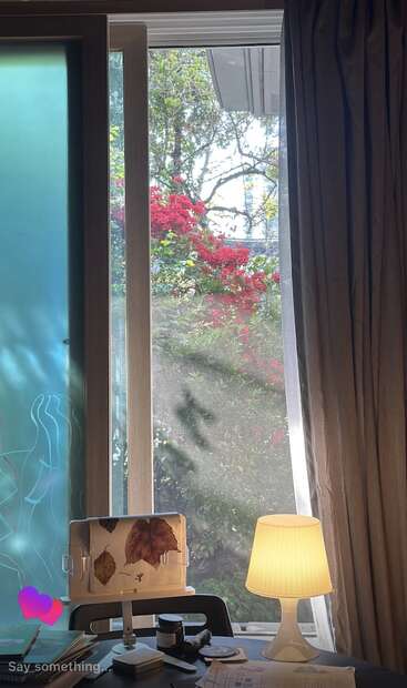 Sunlight streams through a window, illuminating a cozy desk with a lamp, art supplies, and dried leaves, while red flowers and greenery bloom outside.