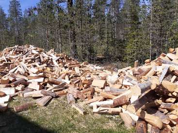 Una gran pila de leña partida está situada en una zona cubierta de hierba, rodeada por un bosque de árboles, con un cielo azul despejado encima.