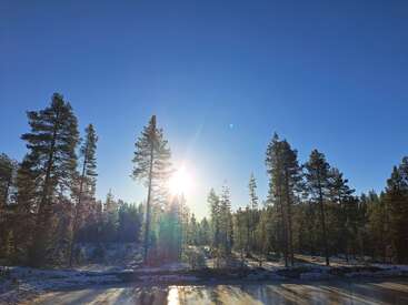 La imagen representa una serena escena invernal con una carretera, el suelo cubierto de nieve, árboles altos y un cielo azul despejado, bañado por la luz del sol.