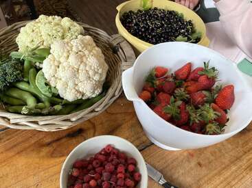 Uma mesa de madeira exibe legumes e frutas recém-colhidos: couve-flor, favas, brócolos, morangos, framboesas e groselhas em tigelas e cestos. É época de colheita.