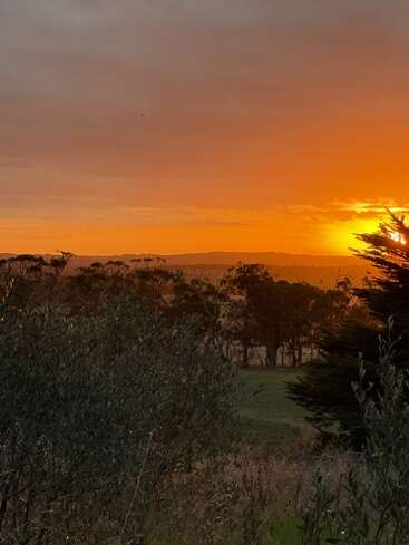 A luz dourada do sol banha a paisagem, lançando um brilho quente e alaranjado sobre colinas distantes, árvores em silhueta e prados verdejantes sob um céu nublado e dramático.