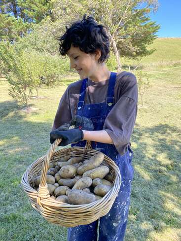 Uma pessoa está ao ar livre, sorrindo, segurando uma grande cesta de vime cheia de batatas recém-colhidas. Ela usa macacão azul, camisa marrom e luvas pretas.