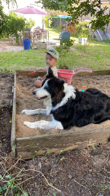 Uma criança pequena, usando um boné, e um cachorro preto e branco relaxam juntos em uma caixa de areia de madeira, aproveitando um dia ensolarado no quintal, cheio de brinquedos e vegetação.