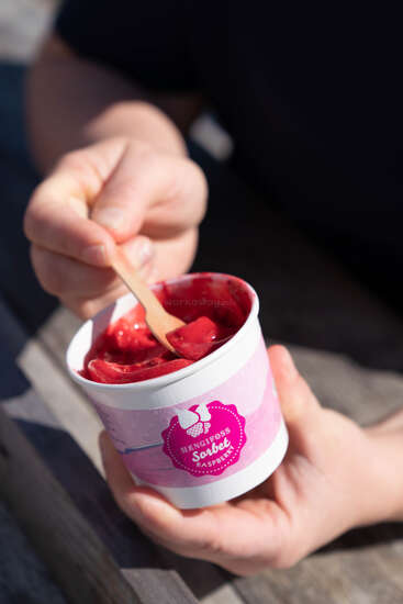 A person is holding a cup of Hengifoss Raspberry Sorbet and using a wooden spoon to scoop the vibrant red sorbet, enjoying a refreshing treat outdoors.