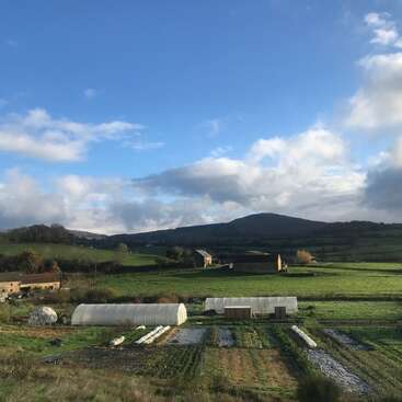 La imagen representa un sereno paisaje rural con colinas onduladas, un cielo azul con nubes blancas y una granja con invernaderos y campos, evocando una sensación de tranquilidad y belleza natural.