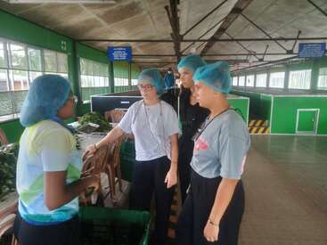 Four people wearing hair nets stand in a factory or processing plant, engaging in a discussion or tour, with green machinery and leafy plants in the background.