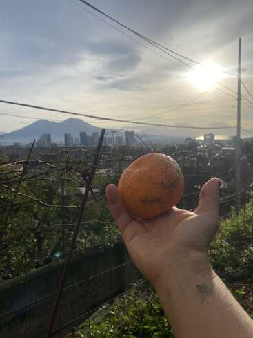 A hand holds an orange against a scenic city view, with mountains and the sun shining brightly in the sky, suggesting a peaceful, early morning atmosphere.