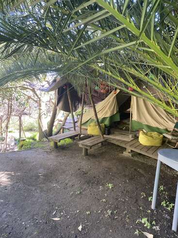 Esta imagem mostra uma barraca montada sobre uma plataforma de madeira, sob folhas de palmeira exuberantes. Há pufes amarelos, luzes de corda e um ambiente tranquilo ao ar livre.