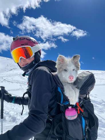 A skier wearing a red helmet and reflective goggles carries a fluffy puppy in a backpack. They are on snowy mountains under a bright blue sky with clouds.