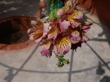 A close-up of a hand holding a bouquet of pink-yellow flowers, casting shadows on a sunlit concrete surface with a circular red structure in the background.