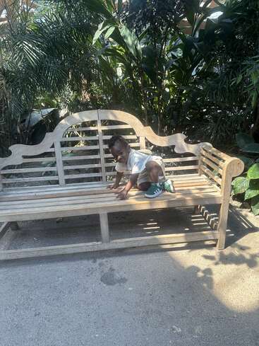 A young child wearing a white shirt and green sneakers squats playfully on a wooden bench, surrounded by lush, green tropical plants and sunlight.