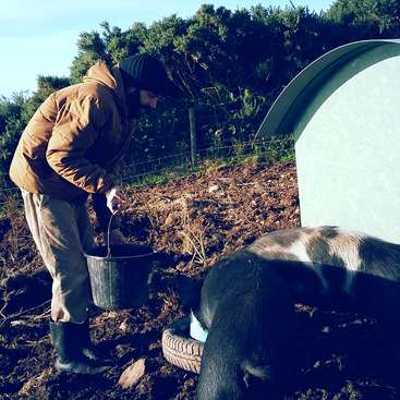 The image depicts a man feeding a cow in a muddy field, wearing a brown jacket, tan pants, and black boots, with a bucket in hand.