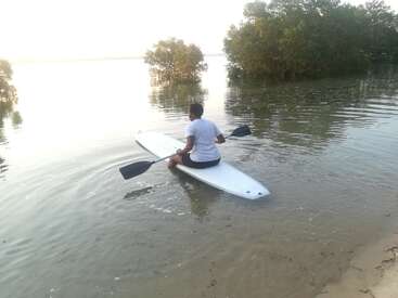 Une personne vêtue d'une chemise blanche et d'un short est assise sur un paddleboard et pagaye sur des eaux calmes près du rivage, entourée de mangroves verdoyantes au coucher du soleil.