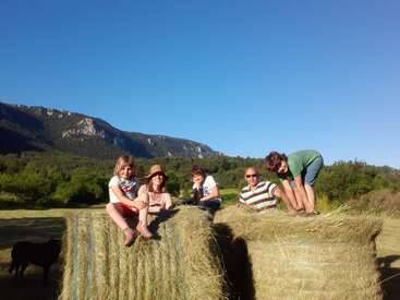 The image depicts a family of five sitting on top of two large hay bales in a field, with a mountainous landscape in the background under a clear blue sky.