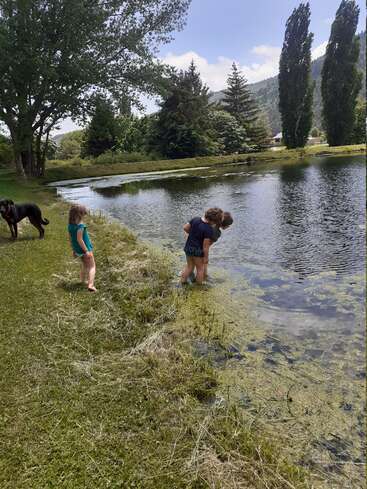 Two children stand at the edge of a pond, surrounded by lush greenery, with a dog nearby, enjoying a sunny day outdoors in a serene natural setting.