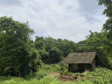 Una pequeña y rústica cabaña rodeada de exuberante vegetación y densos árboles bajo un cielo parcialmente nublado, crea una escena tranquila, rural y llena de naturaleza en el campo.