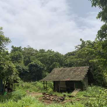 Une petite cabane rustique est entourée de verdure luxuriante et d'arbres denses sous un ciel partiellement nuageux, créant une scène paisible, rurale et pleine de nature dans la campagne.
