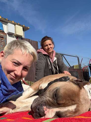 Two women and a relaxed dog enjoy a sunny day outdoors. One woman smiles at the camera while the dog naps peacefully on a colorful blanket.