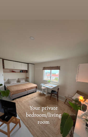 Une chambre/salon privée confortable et lumineuse avec un lit double, une petite table à manger, une télévision, un bureau, un fauteuil confortable, des plantes, une fenêtre et une décoration minimaliste. Atmosphère chaleureuse et accueillante.