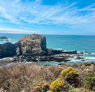 Une magnifique scène côtière avec une falaise rocheuse escarpée s'élevant de la mer, entourée d'eau turquoise, de fleurs sauvages et d'arbustes sous un ciel bleu éclatant.