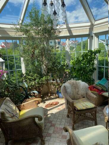 A bright sunroom with glass ceiling, wicker chairs, lush green plants, colorful cushions, and cozy decor, inviting relaxation under natural light and blue skies.