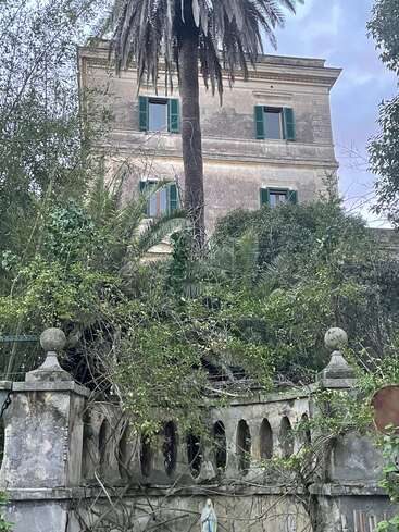 An old, weathered villa with green shutters stands behind an overgrown garden, stone fence, tall palm tree, and a small statue, evoking a mysterious, abandoned atmosphere.