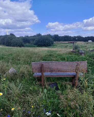 Un banc rustique en bois se trouve dans un champ herbeux parsemé de fleurs sauvages, sous un ciel bleu parsemé de nuages cotonneux. On aperçoit des arbres, une éolienne et une caravane.