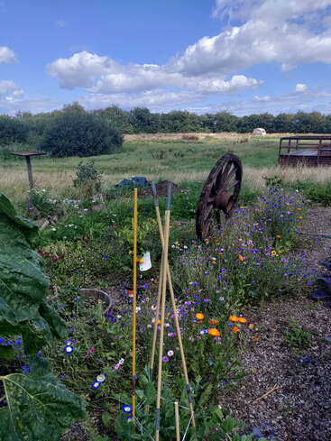 Au premier plan, on aperçoit un jardin coloré où fleurissent des fleurs sauvages, avec des tiges de bambou et des outils de jardinage. À l'arrière-plan, des champs verdoyants, des arbres et une roue de charrette rouillée.