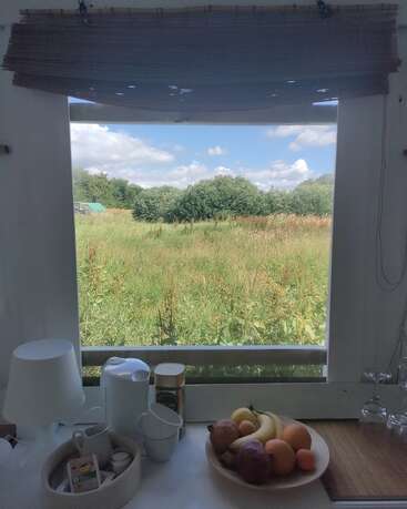 Une vue depuis la fenêtre donnant sur un champ verdoyant et un ciel bleu nuageux. Sur le rebord de la fenêtre, des fruits, des tasses, une lampe et des ustensiles de cuisine sont soigneusement disposés.