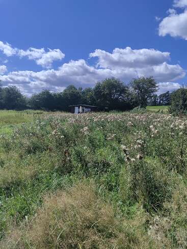 Un petit bâtiment blanc se dresse au milieu des hautes herbes et des fleurs sauvages, entouré d'arbres verdoyants sous un ciel d'un bleu éclatant, parsemé de nuages blancs cotonneux.