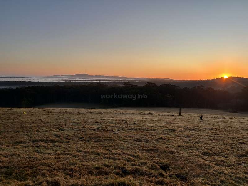 Un soleil doré se lève sur des collines lointaines, illuminant un paysage brumeux avec des champs, des arbres et une beauté sereine sous un ciel clair, créant une scène matinale paisible.