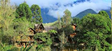 The image depicts a serene scene of a large house or building with a sprawling yard, surrounded by trees and bushes, evoking a sense of tranquility and natural beauty.