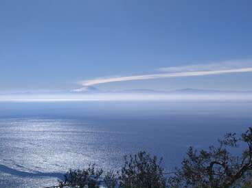 Un océan serein s'étend sous un ciel bleu limpide, avec des montagnes au loin. Les rayons du soleil scintillent sur l'eau, une brume flotte dans l'air et les branches des arbres encadrent le paysage.