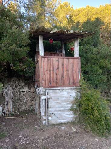 A rustic wooden treehouse stands in a forested area, partially surrounded by greenery. It features a corrugated roof, red hanging pots, and weathered wooden supports.