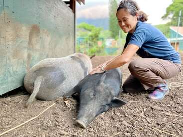 A woman crouches beside two pigs on the ground, gently petting one with her right hand, in a barn-like setting with a serene outdoor backdrop.
