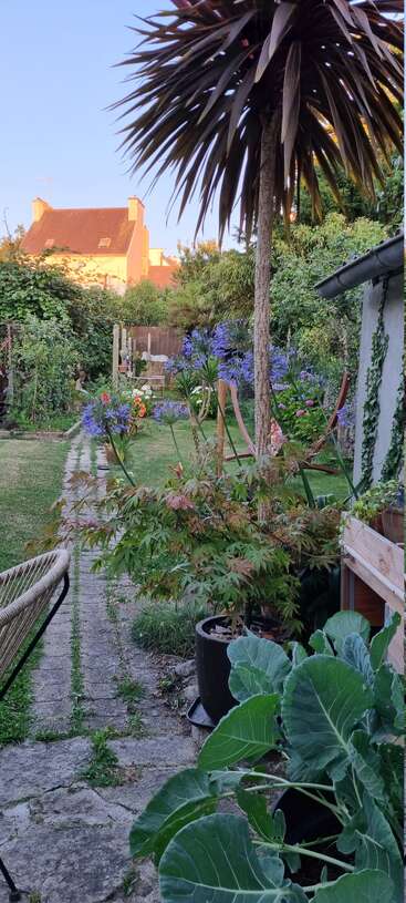 Un acogedor jardín trasero con un camino de piedra, exuberantes plantas verdes, flores moradas, una palmera alta, hortalizas en macetas y una casa al fondo.