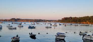 Un tranquilo puerto al atardecer con numerosas pequeñas embarcaciones ancladas en aguas tranquilas. Colinas y árboles se alinean al fondo, reflejando una atmósfera serena y tranquila.