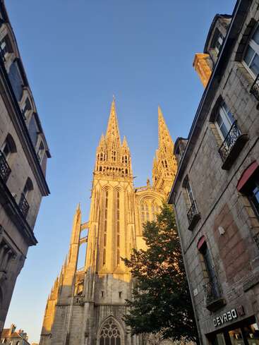 Esta imagen capta una majestuosa catedral con altas agujas iluminadas por la luz dorada del sol, enmarcada por viejos edificios de piedra y un árbol, bajo un cielo azul despejado.
