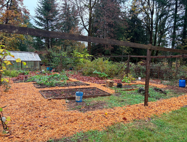 Cette image montre un jardin bien entretenu avec des plates-bandes surélevées, des allées recouvertes de paillis de copeaux de bois, des seaux bleus, une serre et des arbres environnants dans un cadre paisible.