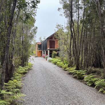 Eine Schotterauffahrt führt zu einem modernen Holzhaus, das von hohen Bäumen und üppigen grünen Farnen umgeben ist und eine friedliche, naturnahe Waldumgebung schafft.