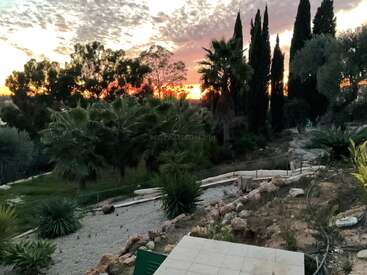 Um belo pôr do sol ilumina o céu, lançando um brilho quente sobre um jardim sereno com palmeiras, ciprestes, caminhos rochosos e vegetação exuberante. Atmosfera tranquila.