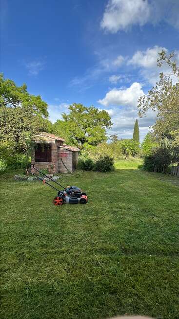 A freshly mowed lawn under a bright blue sky, with a lawnmower resting on the grass, near a rustic brick shed surrounded by lush greenery.