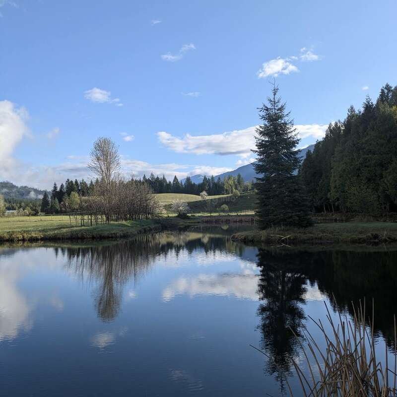 Um lago sereno reflete as árvores e o céu azul com nuvens fofas. Campos verdejantes, colinas onduladas e montanhas boscosas ao longe criam uma paisagem natural e tranquila.