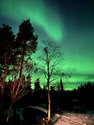 L'image représente une scène hivernale sereine avec une aurore boréale d'un vert éclatant dans le ciel nocturne, entourée d'arbres et d'un sol enneigé.