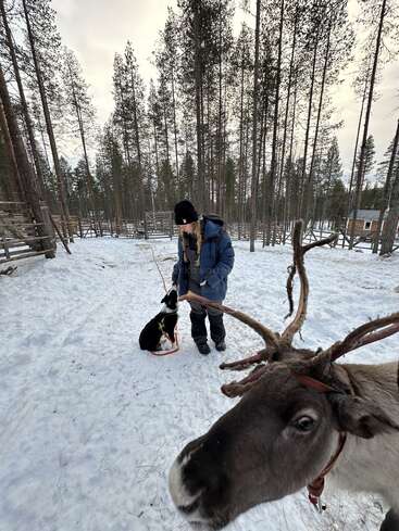 L'image représente une scène hivernale sereine mettant en scène une femme, un chien et un renne dans une clairière enneigée entourée de grands arbres, avec une petite cabane en bois à l'arrière-plan.