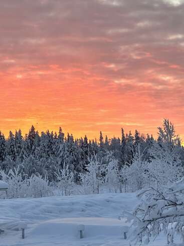 L'image représente un paysage hivernal serein au coucher du soleil, avec des arbres couverts de neige et un ciel orange vibrant avec des nuages roses, évoquant un sentiment de paix et de tranquillité.
