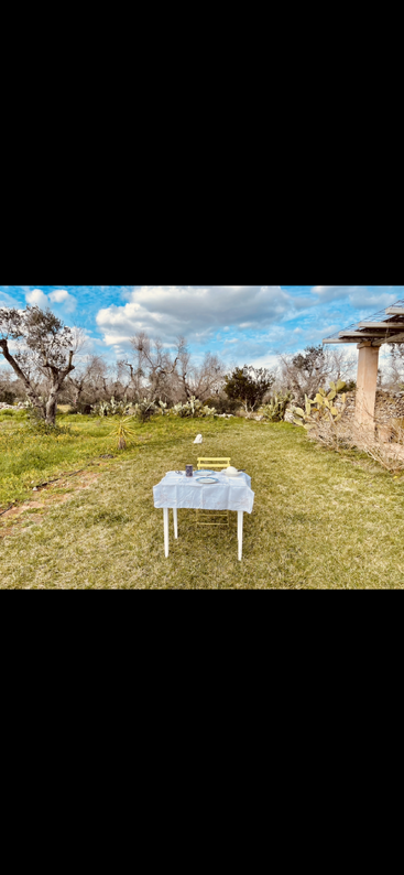 La imagen representa un entorno sereno al aire libre, con una mesa y sillas, rodeado de árboles y arbustos, que evoca una sensación de tranquilidad y relajación. El ambiente es apacible e idílico.