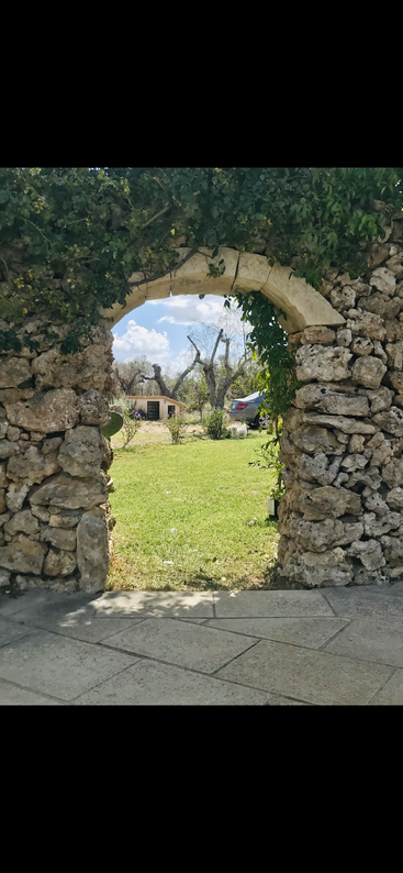 La imagen representa una serena escena de un muro de piedra con una puerta, sobre un fondo de árboles y arbustos, que evoca una sensación de tranquilidad y belleza natural.