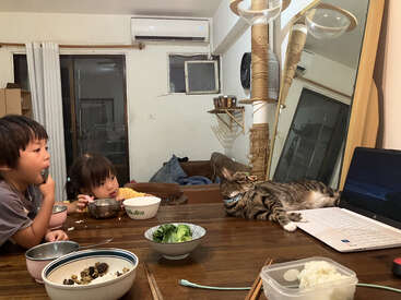 Deux enfants dînent à une table tandis qu'un chat se prélasse à côté d'un ordinateur portable, semblant regarder l'écran. La pièce est confortable et détendue.