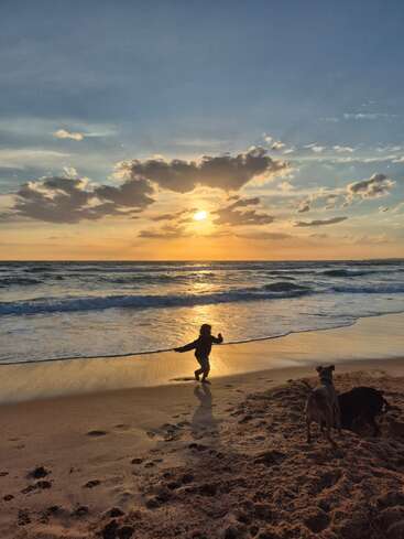 Un enfant court joyeusement au bord de l'océan au coucher du soleil, projetant une longue ombre. Deux chiens jouent à proximité sur le rivage sablonneux, les nuages brillent derrière le soleil.
